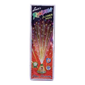 Flower Pots - Rangeela